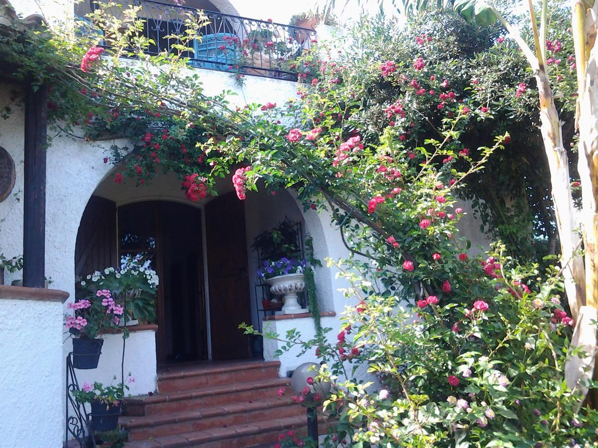 B&B Villa Piera Montecuccoスティンティーノ エクステリア 写真